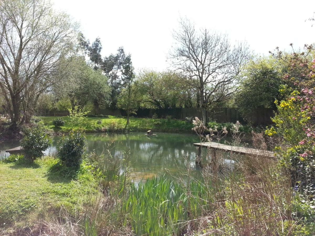 לינה וארוחת בוקר Marston Moreteyne Upper Wood End Farm מראה חיצוני תמונה